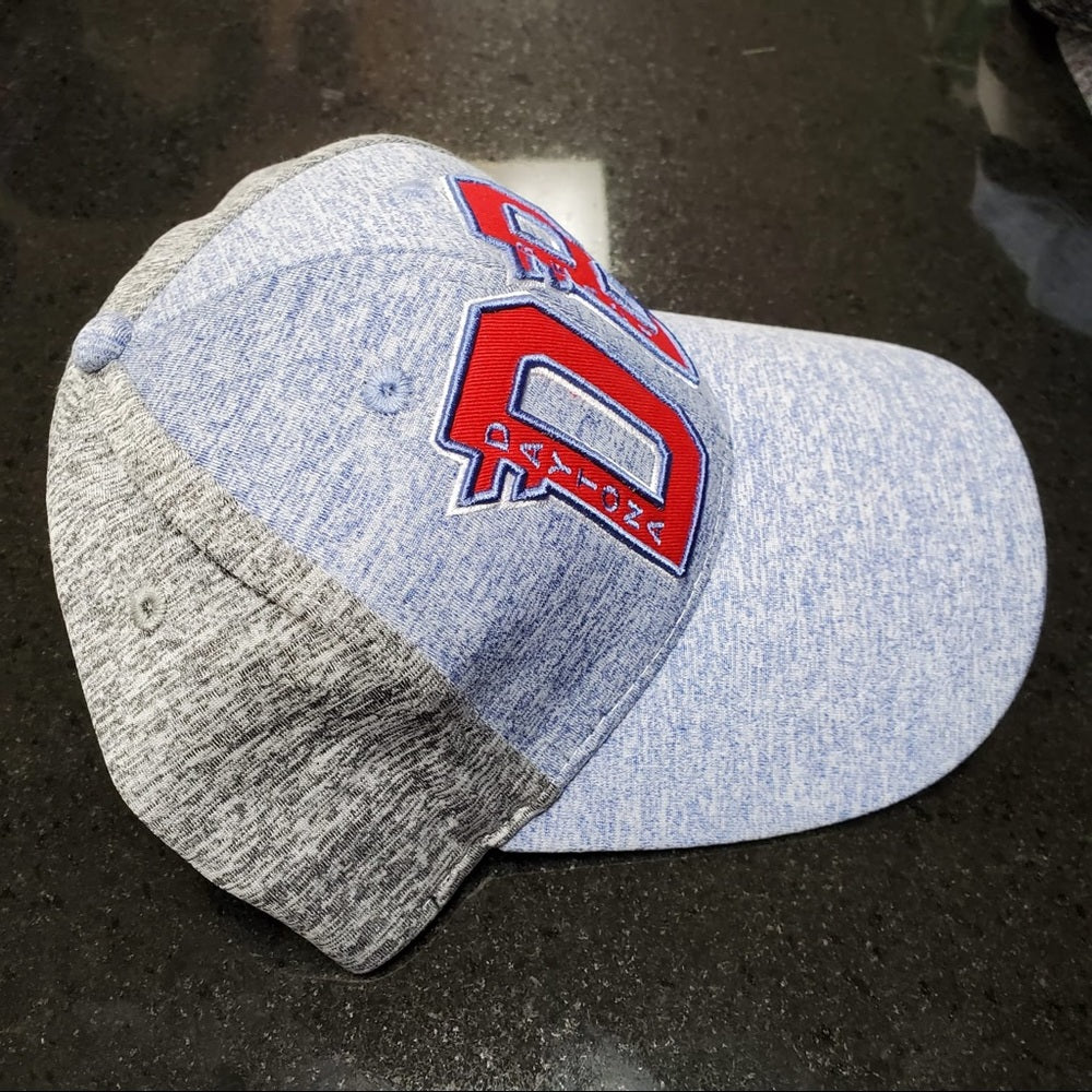 Daytona beach Dad Cap one size fits all