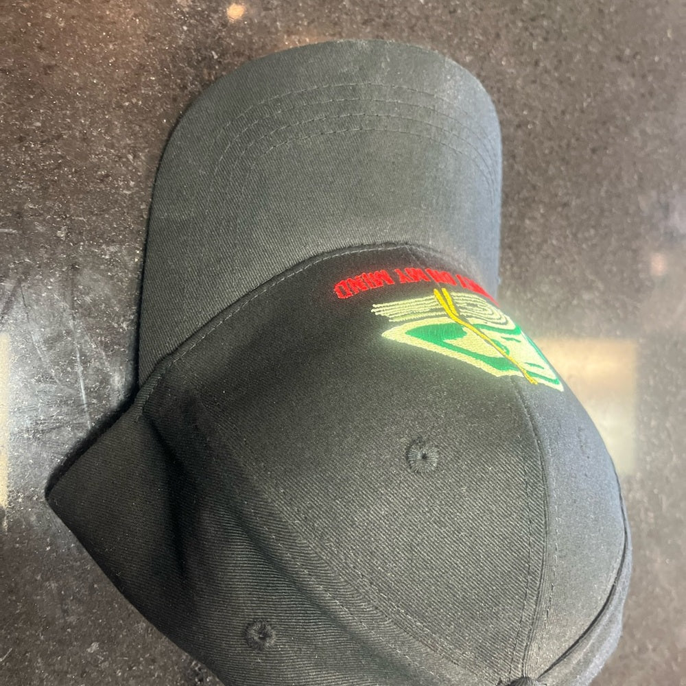 Money on my mind dad cap osfa