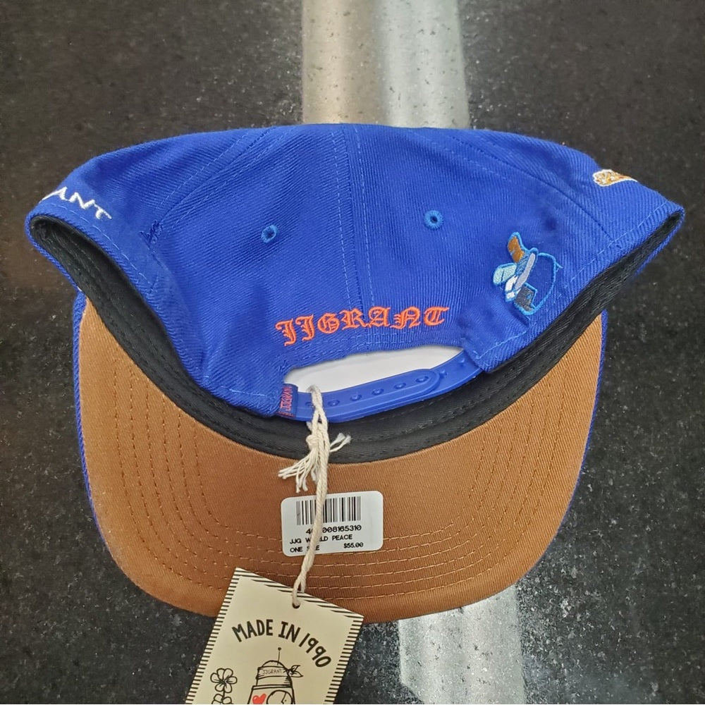 Famous nobody SnapBack one size fits all