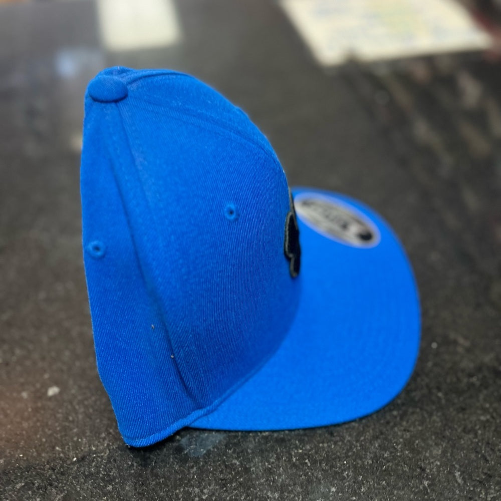 Clover SnapBack blue one size fits all