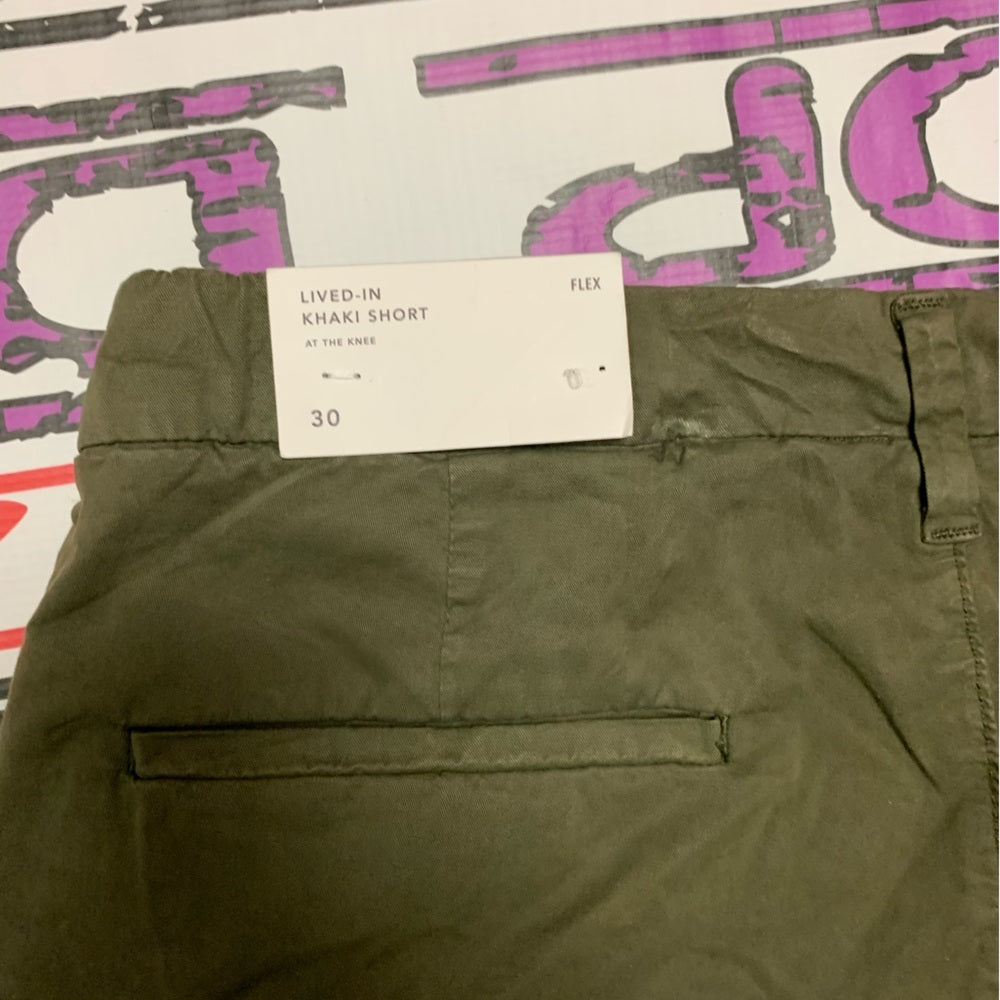 American Eagle Outfitters Olive Green Flat Front Shorts Sz 30