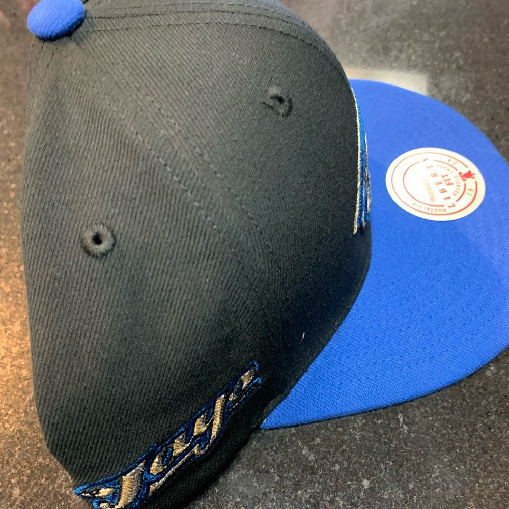 Toronto blue jays SnapBack one size fits all