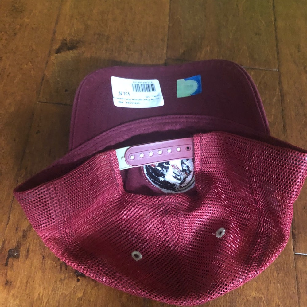 FSU Net Dad Cap Team Colors