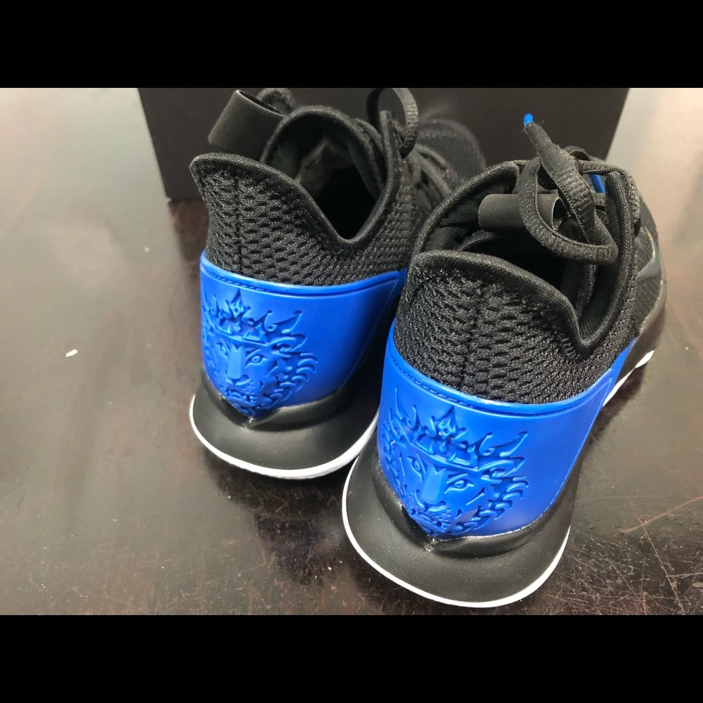 Lebron witness 4s sz 10