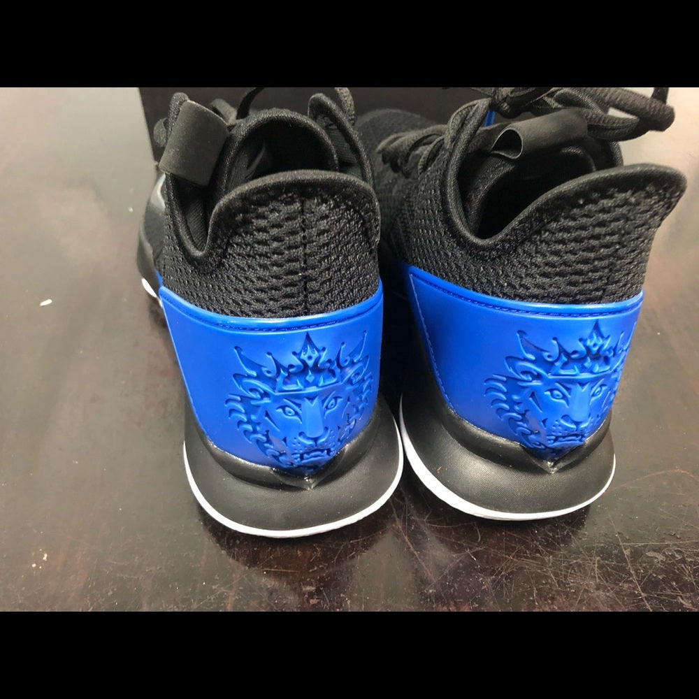 Lebron witness 4s sz 10