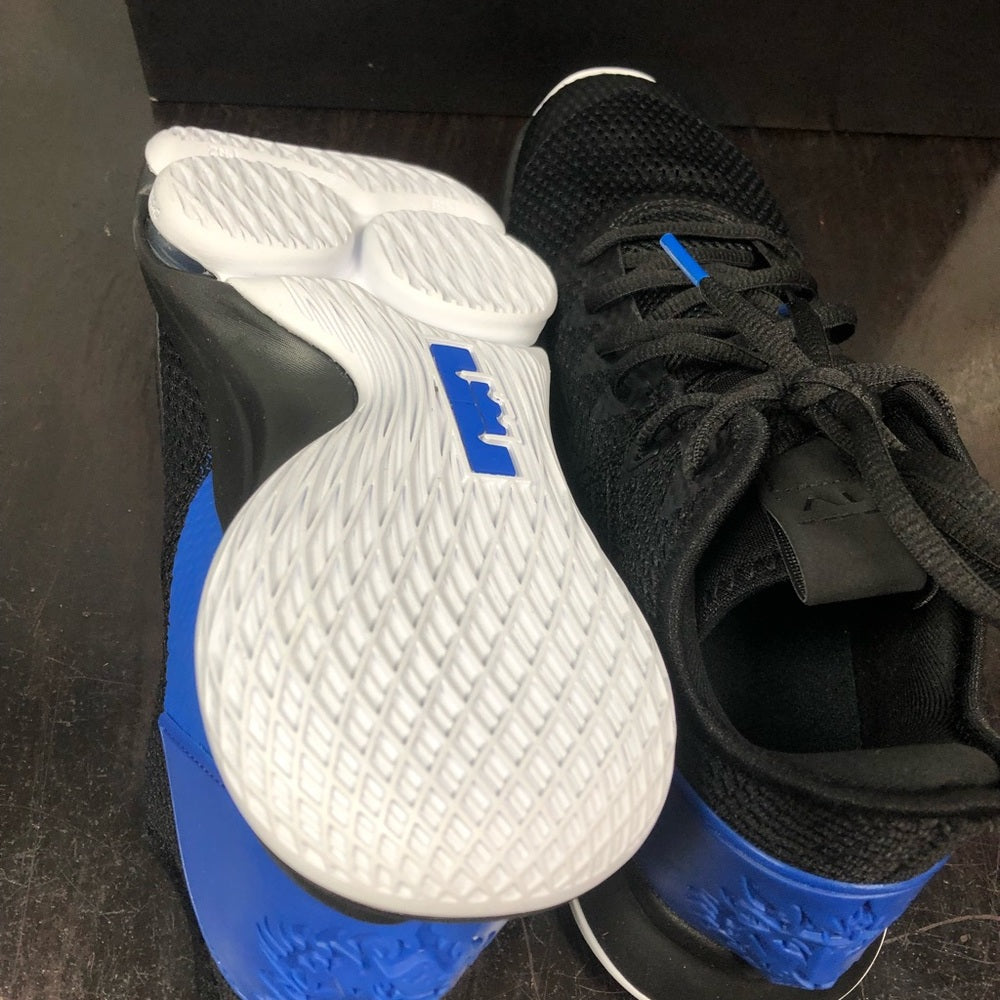 Lebron witness 4s sz 10