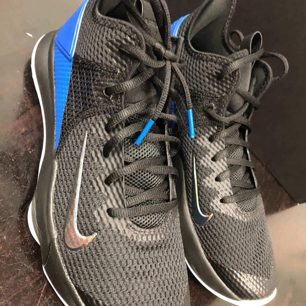 Lebron witness 4s sz 10