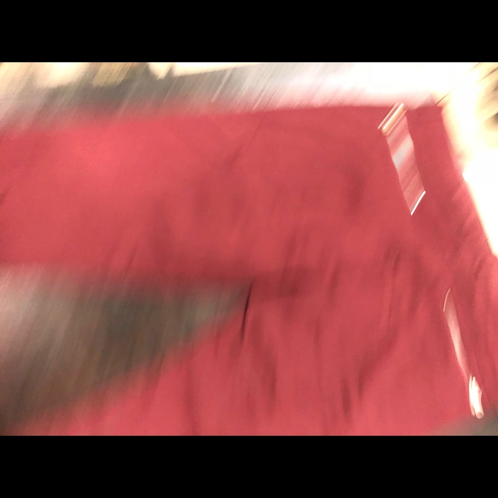 Burgundy cargo pants sz Various