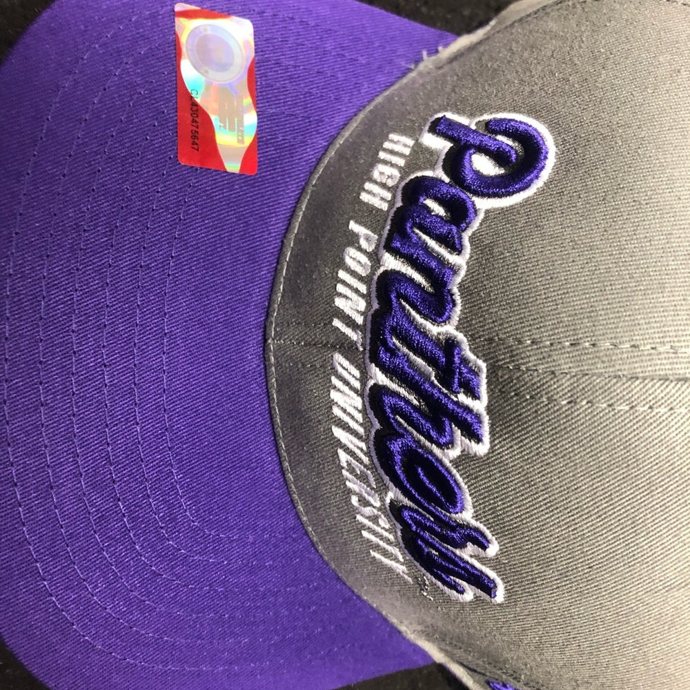 Panthers SnapBack one size fits all