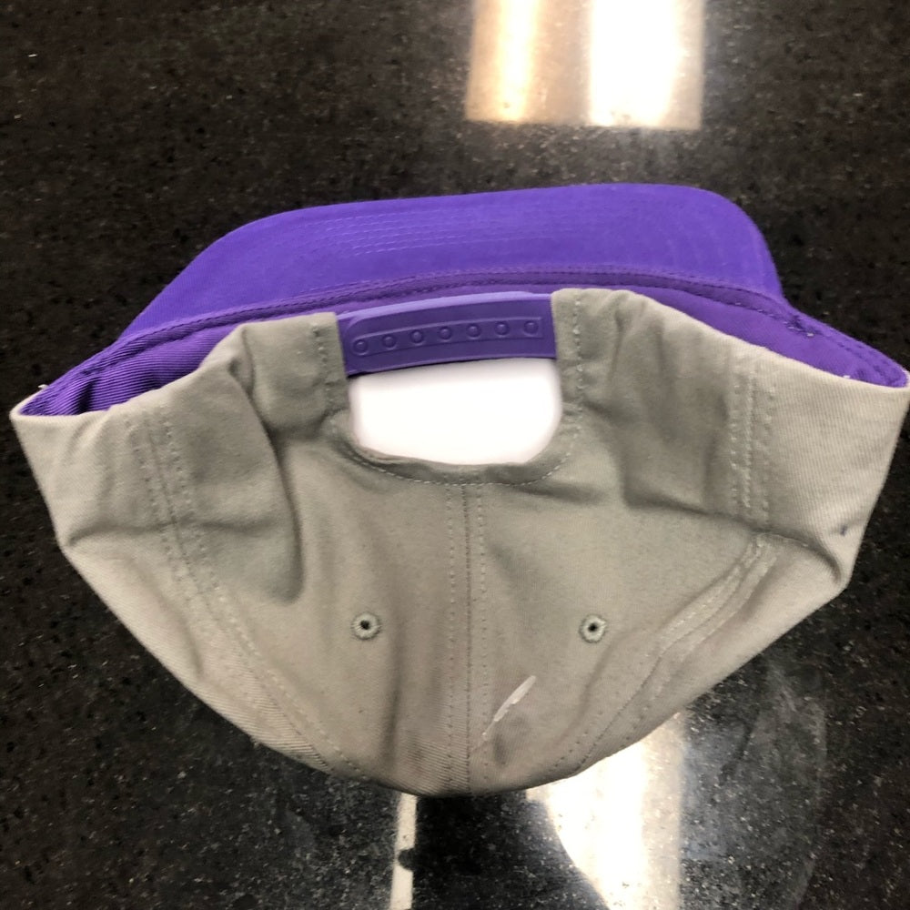 Panthers SnapBack one size fits all