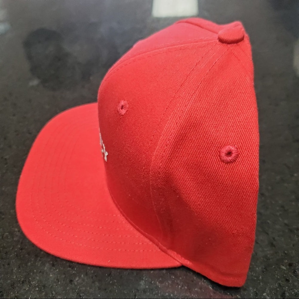 Barney SnapBack one size fits all