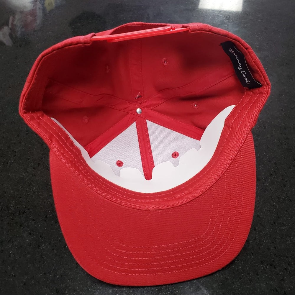 Barney SnapBack one size fits all