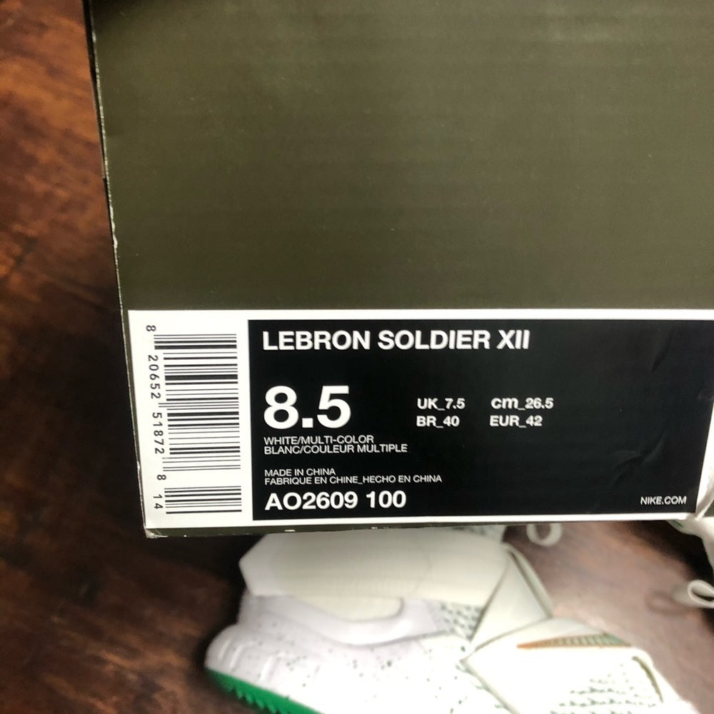 Notre Dame Lebron James soldiers Sz 8.5
