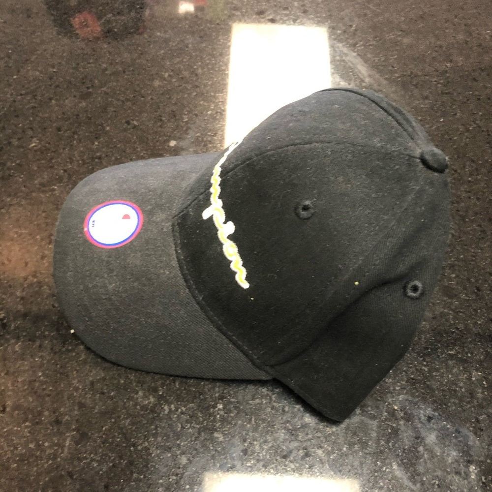 Champion dad cap one size fits all