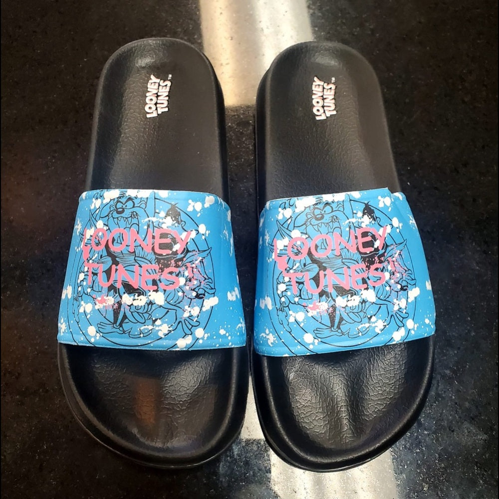 Sz Various looney tunes slides
