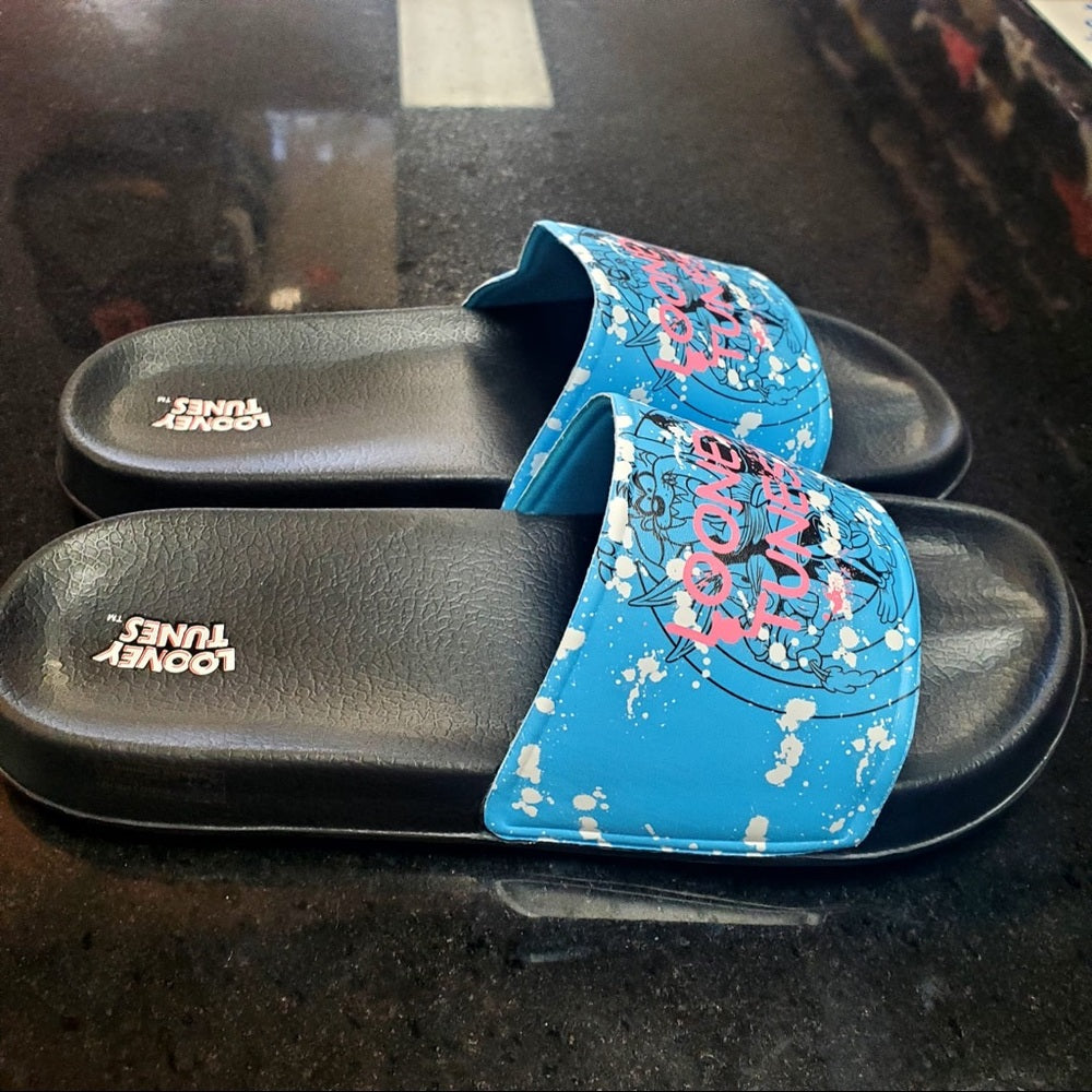 Sz Various looney tunes slides