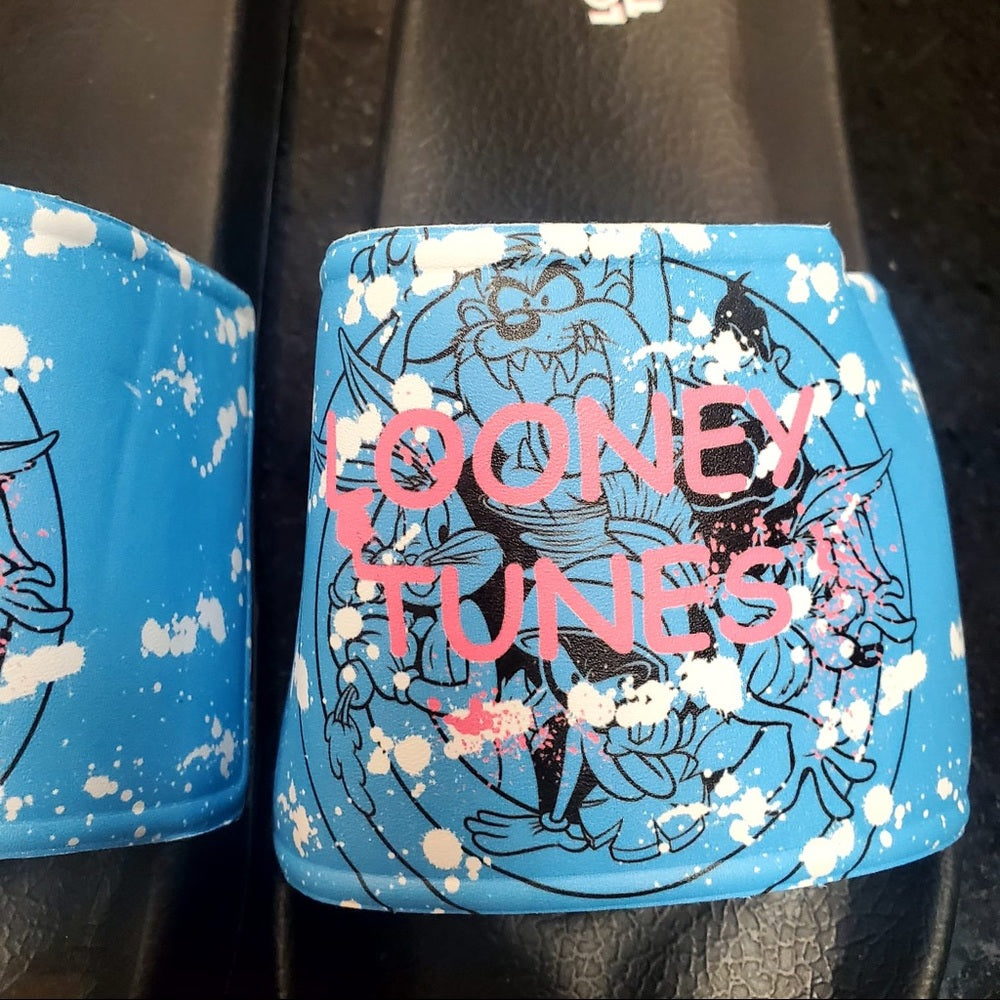 Sz Various looney tunes slides
