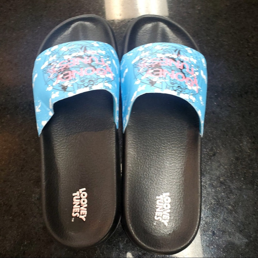 Sz Various looney tunes slides