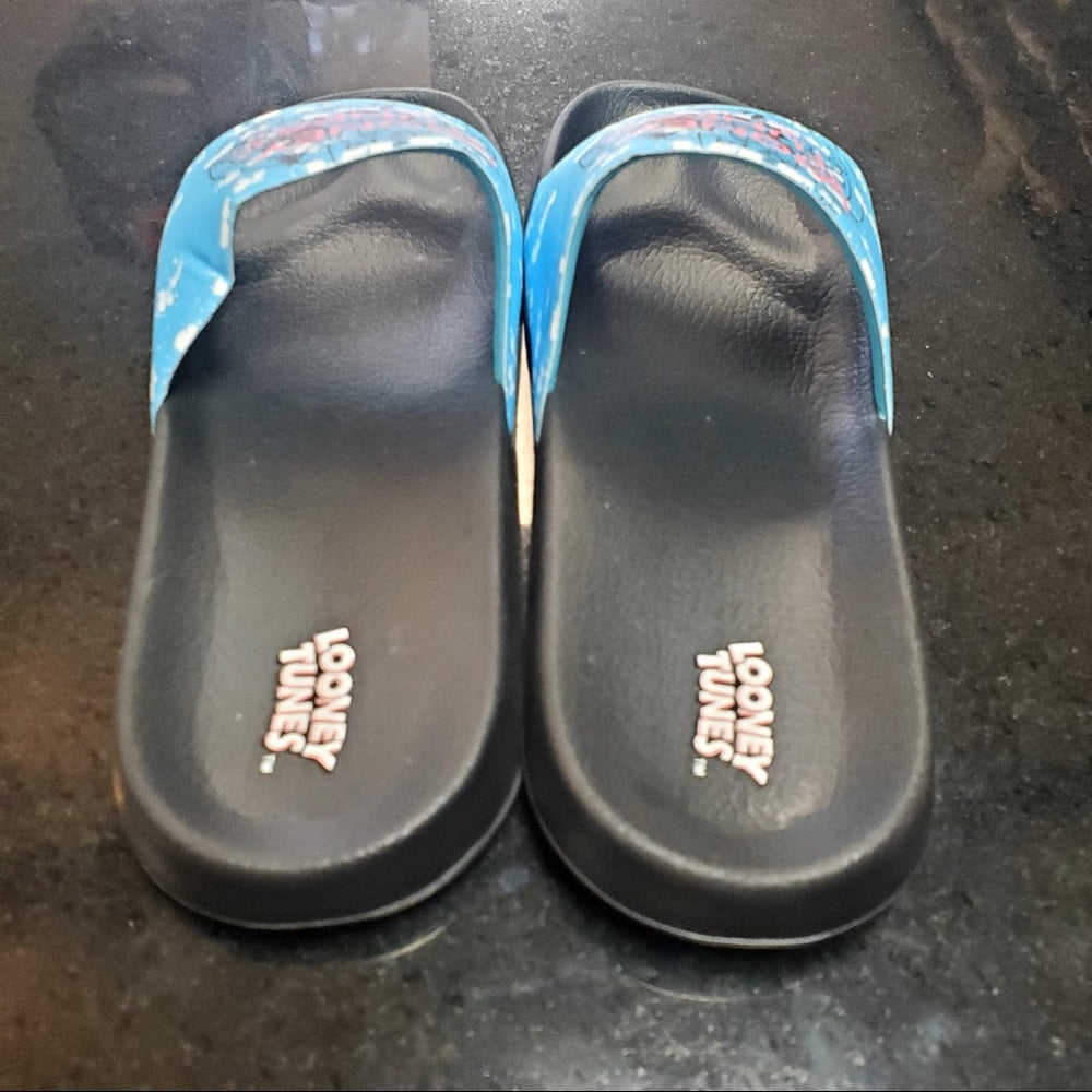 Sz Various looney tunes slides