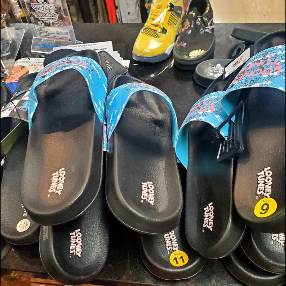 Sz Various looney tunes slides