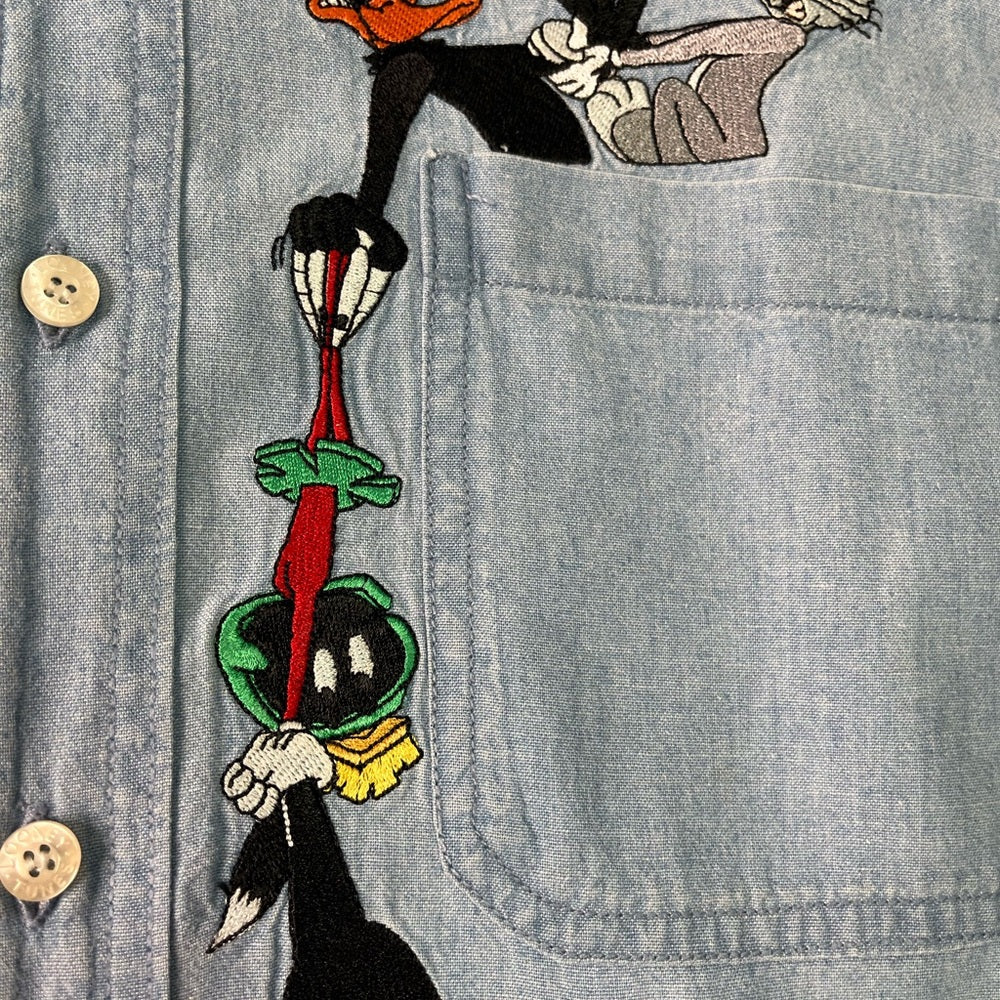 Sz Large Warner brother longsleeve polo