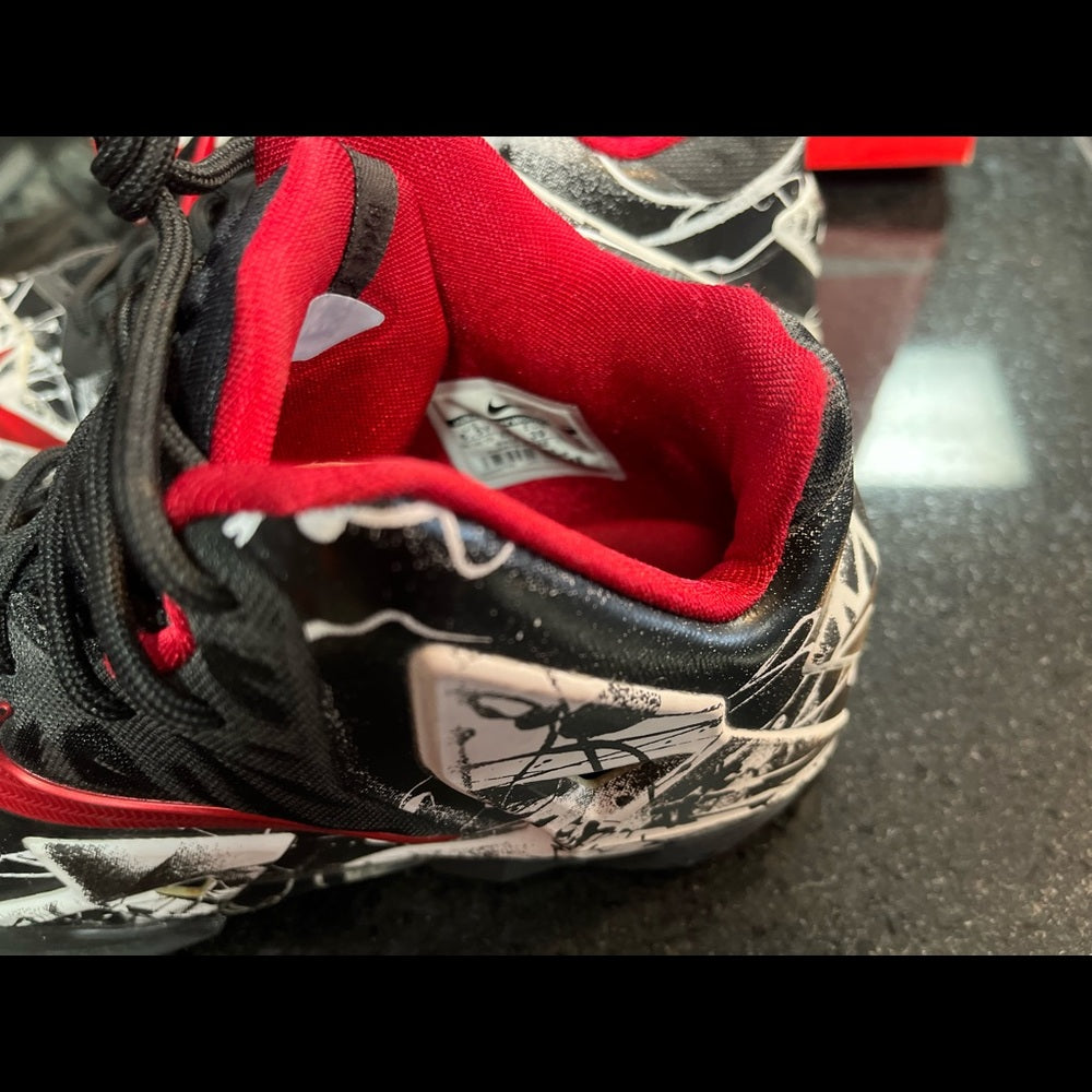 Sz 6.5 Lebron James like new