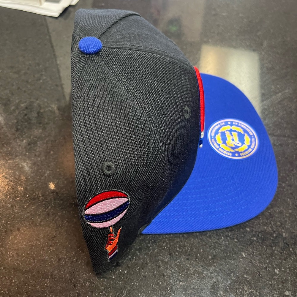 Harlem globe SnapBack one size fits all