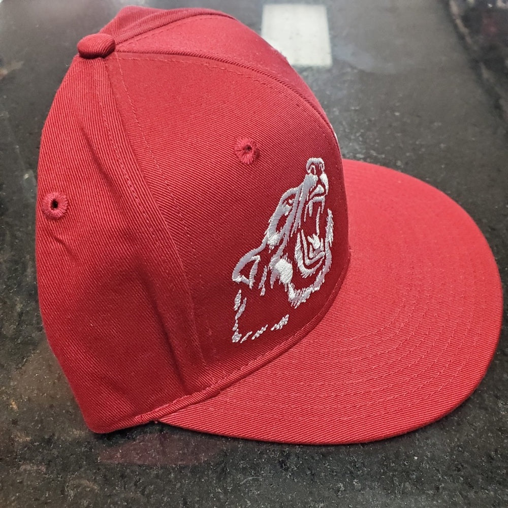 Hustle gang SnapBack one size fits all