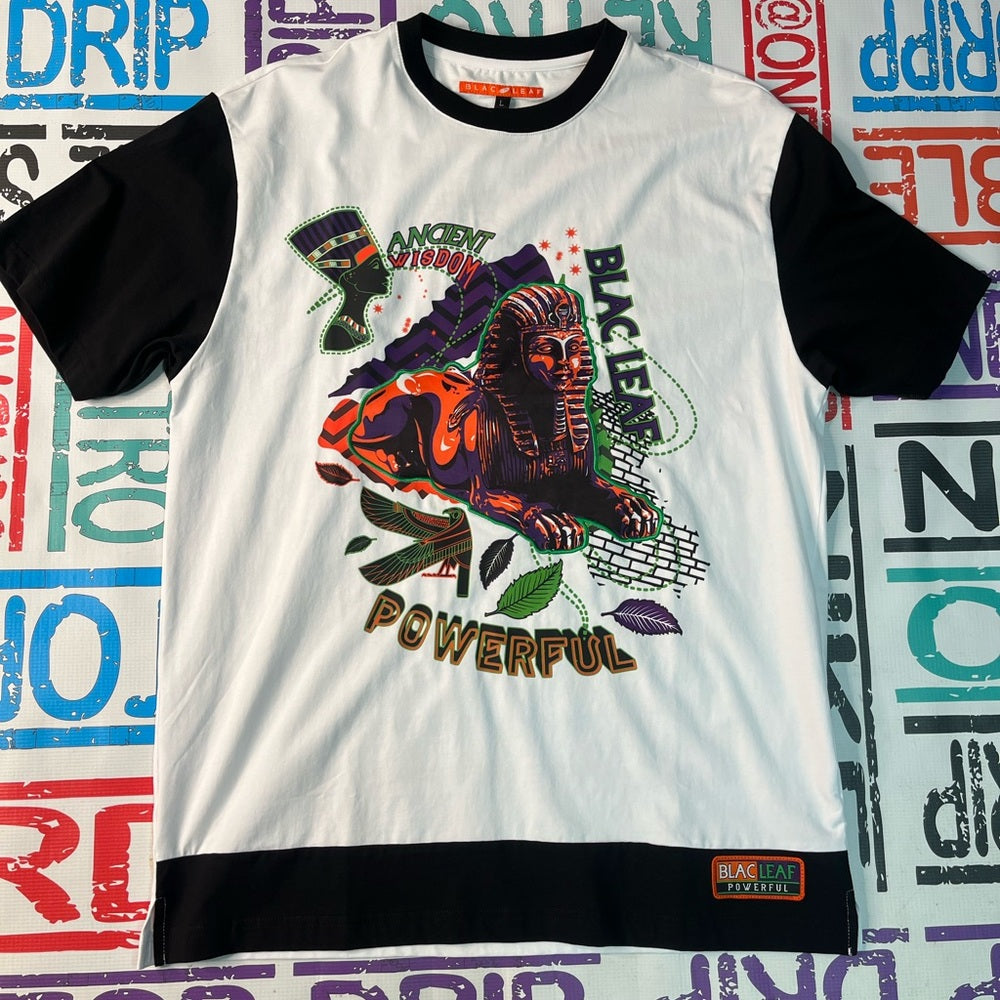 Blac leaf owl t shirt Sz Various