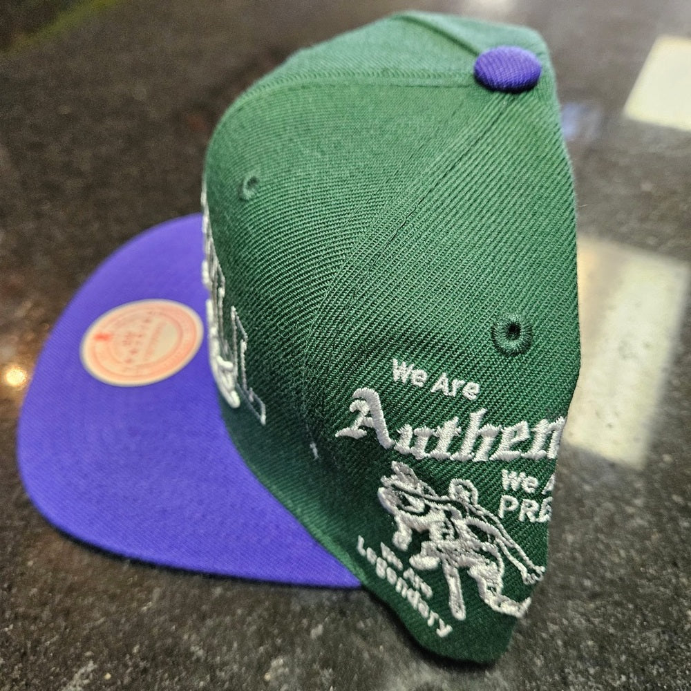 Mitchell & Ness SnapBack one size fits all