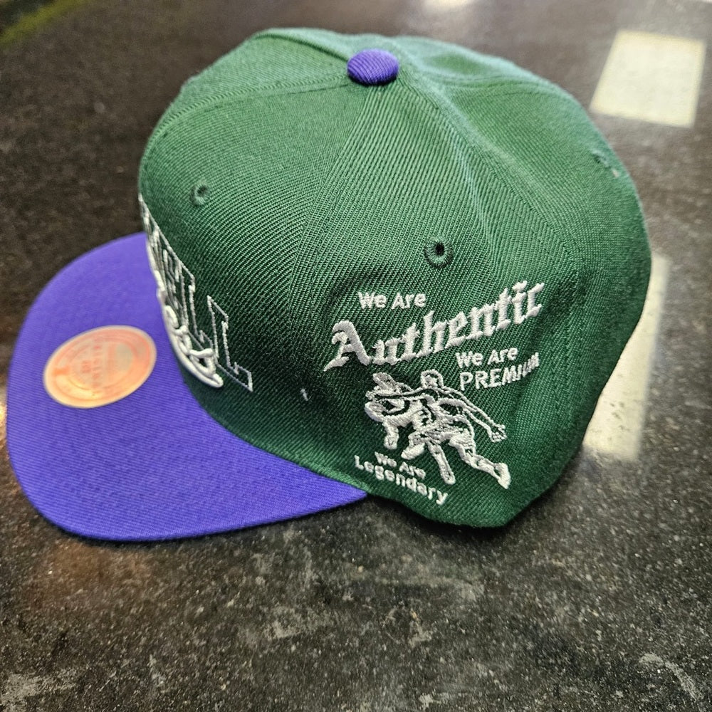 Mitchell & Ness SnapBack one size fits all