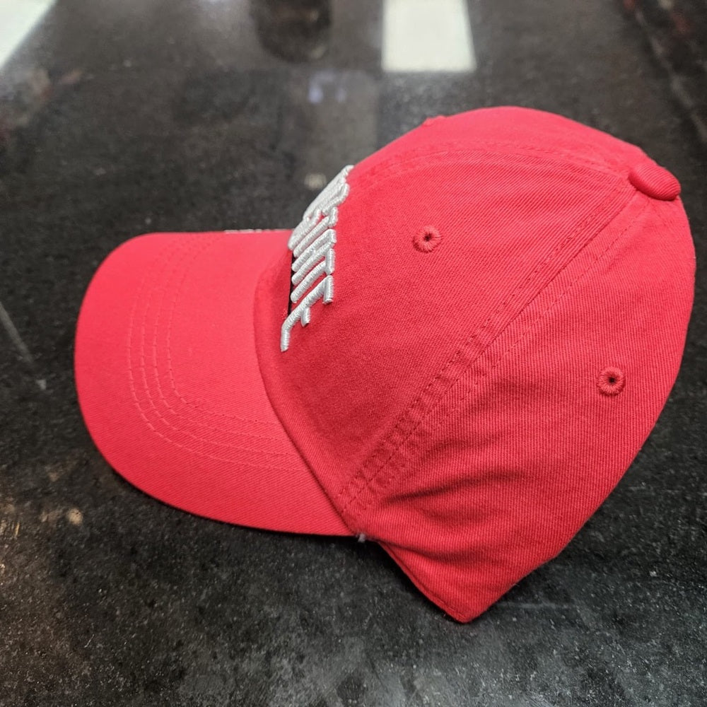 Ohio state Buckeyes dad cap one size fits all