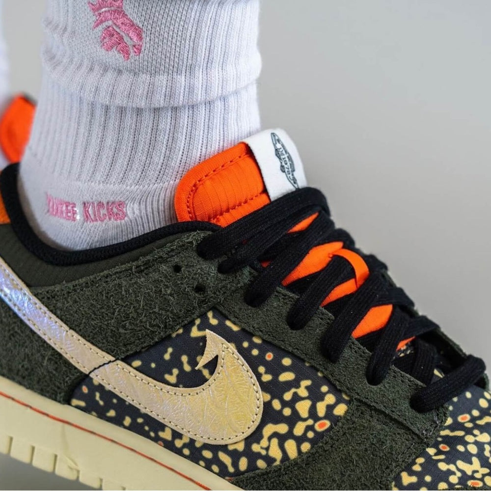 Sz various Nike Dunk Low Rainbow Trout FN7523-300 Men's