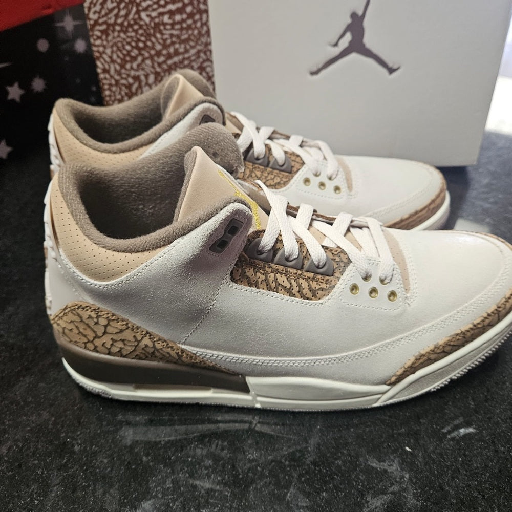 Sz Various Jordan retro 3s Nwb