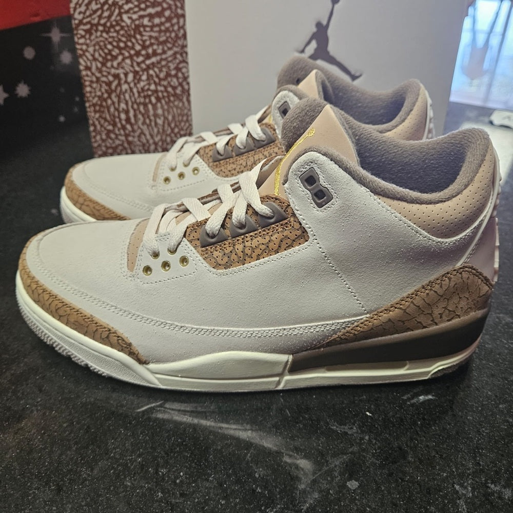 Sz Various Jordan retro 3s Nwb