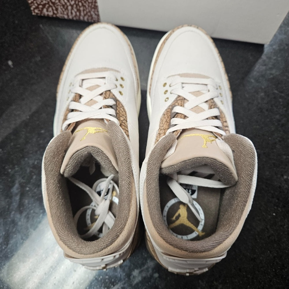 Sz Various Jordan retro 3s Nwb