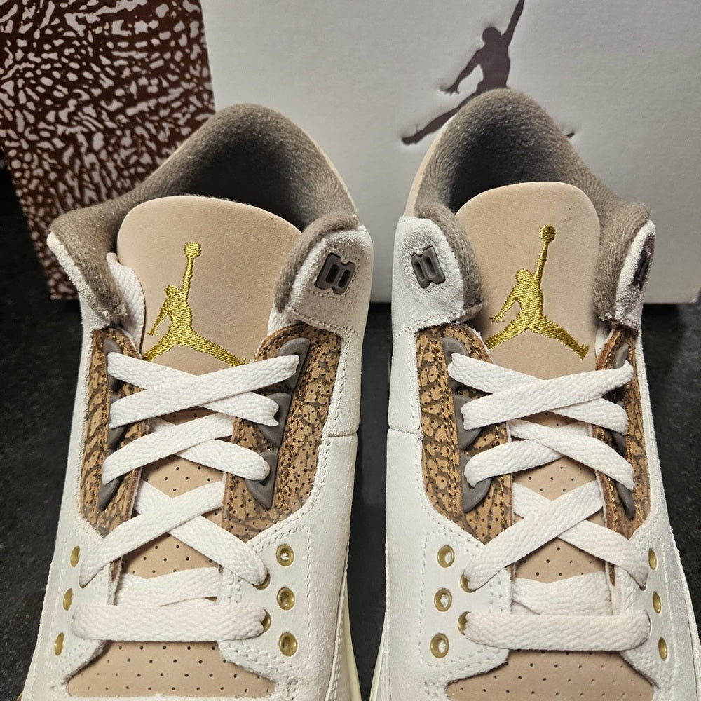 Sz Various Jordan retro 3s Nwb