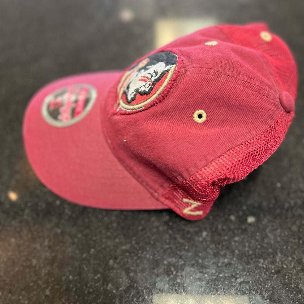 Florida state dad cap one size fits all