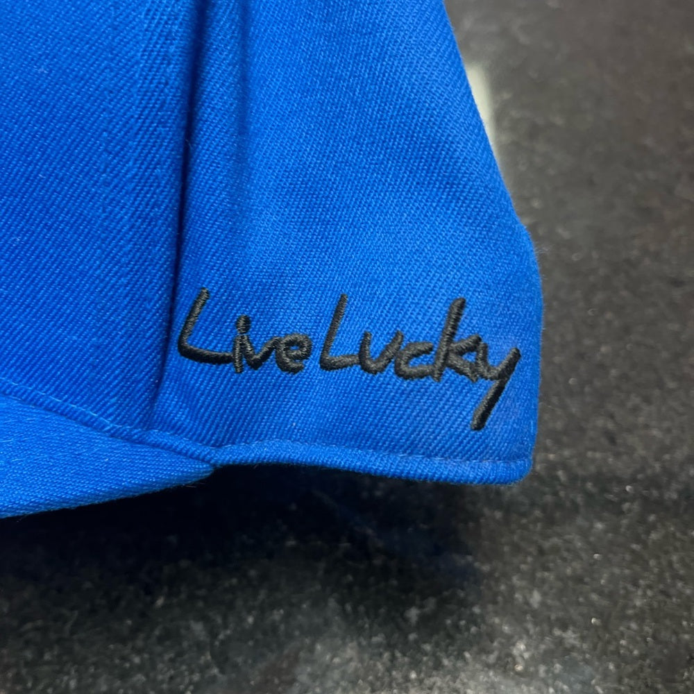 Clover SnapBack blue one size fits all