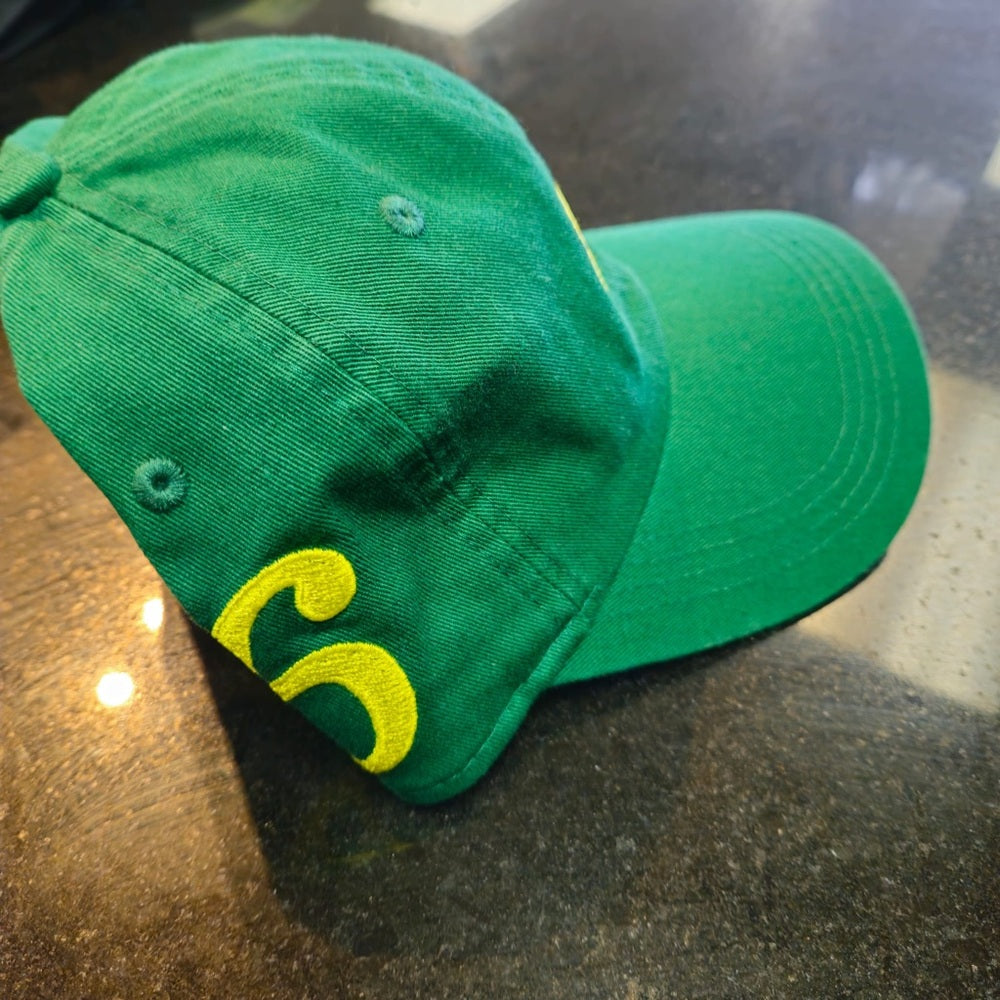 Bear dad cap one size fits all