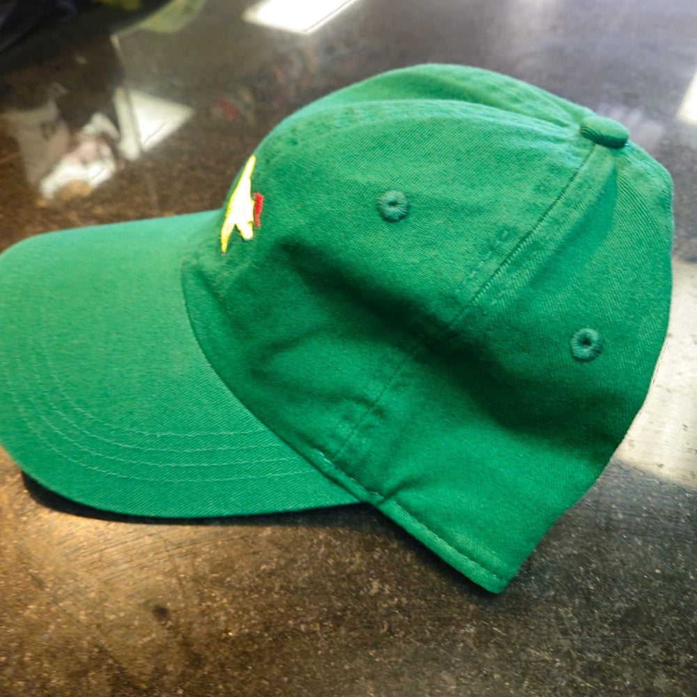 Bear dad cap one size fits all