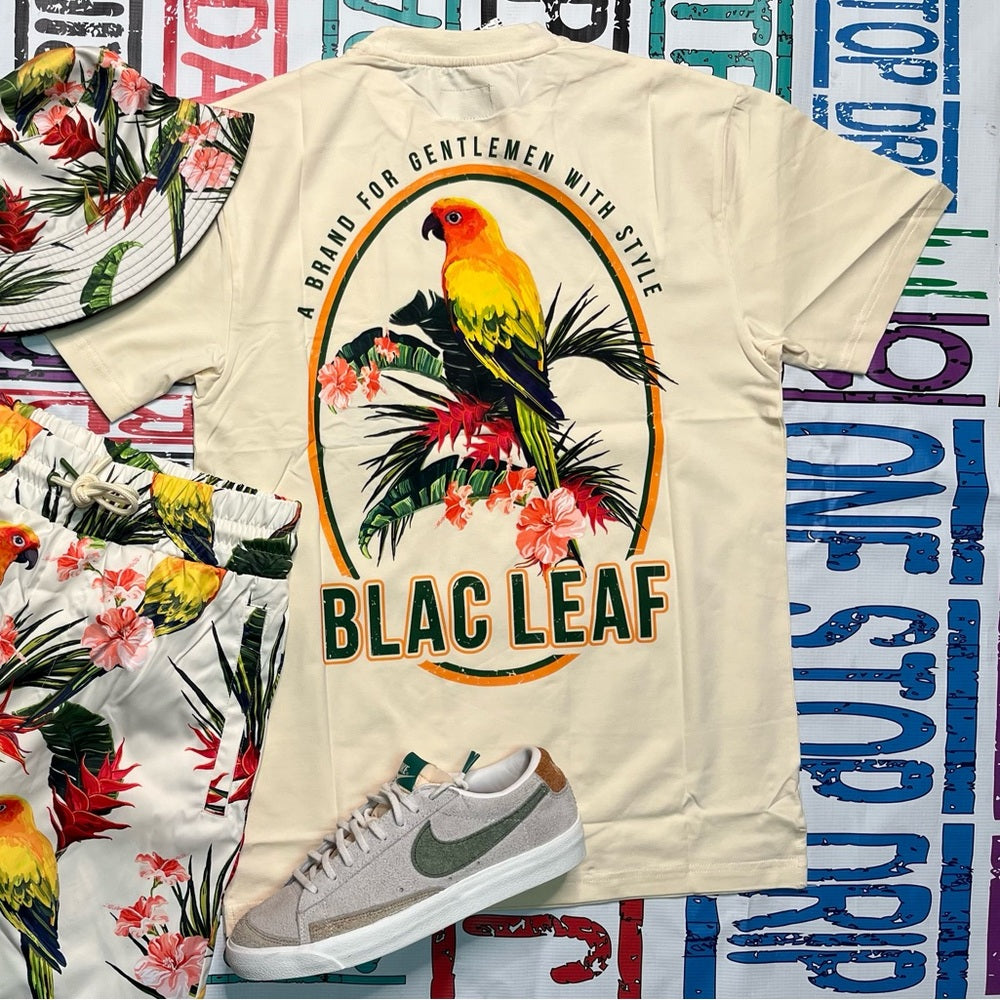 Blac leaf graphic tee Sz various