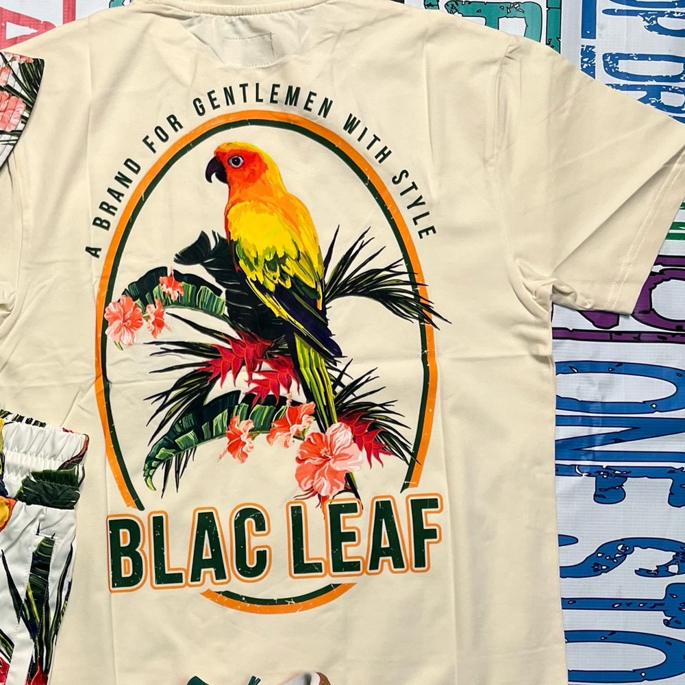 Blac leaf graphic tee Sz various