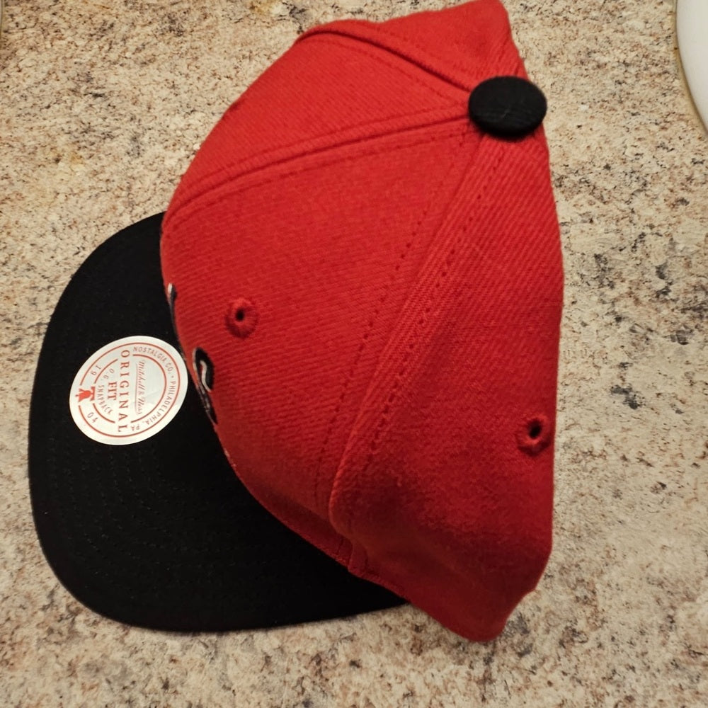 Mitchell & Ness NBA Chicago Bulls Rise & Shine Snapback Hat, Cap, New