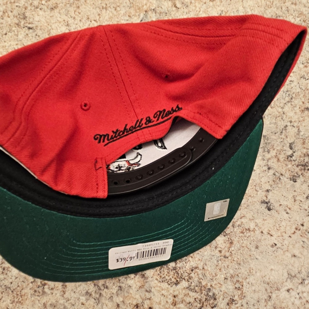 Mitchell & Ness NBA Chicago Bulls Rise & Shine Snapback Hat, Cap, New