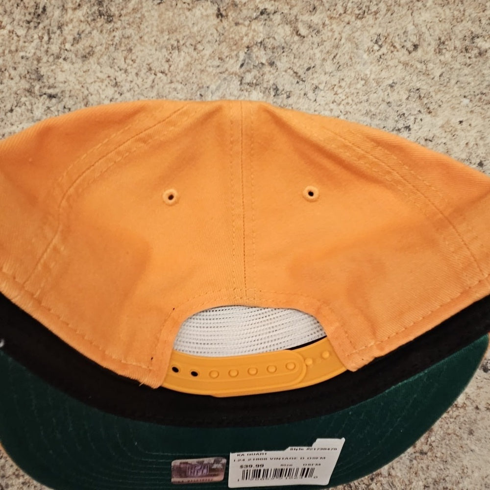 Vintage Tampa bay SnapBack one size fits all