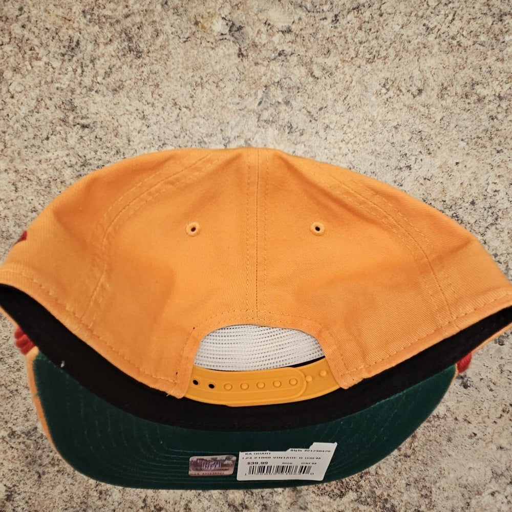 Vintage Tampa bay SnapBack one size fits all