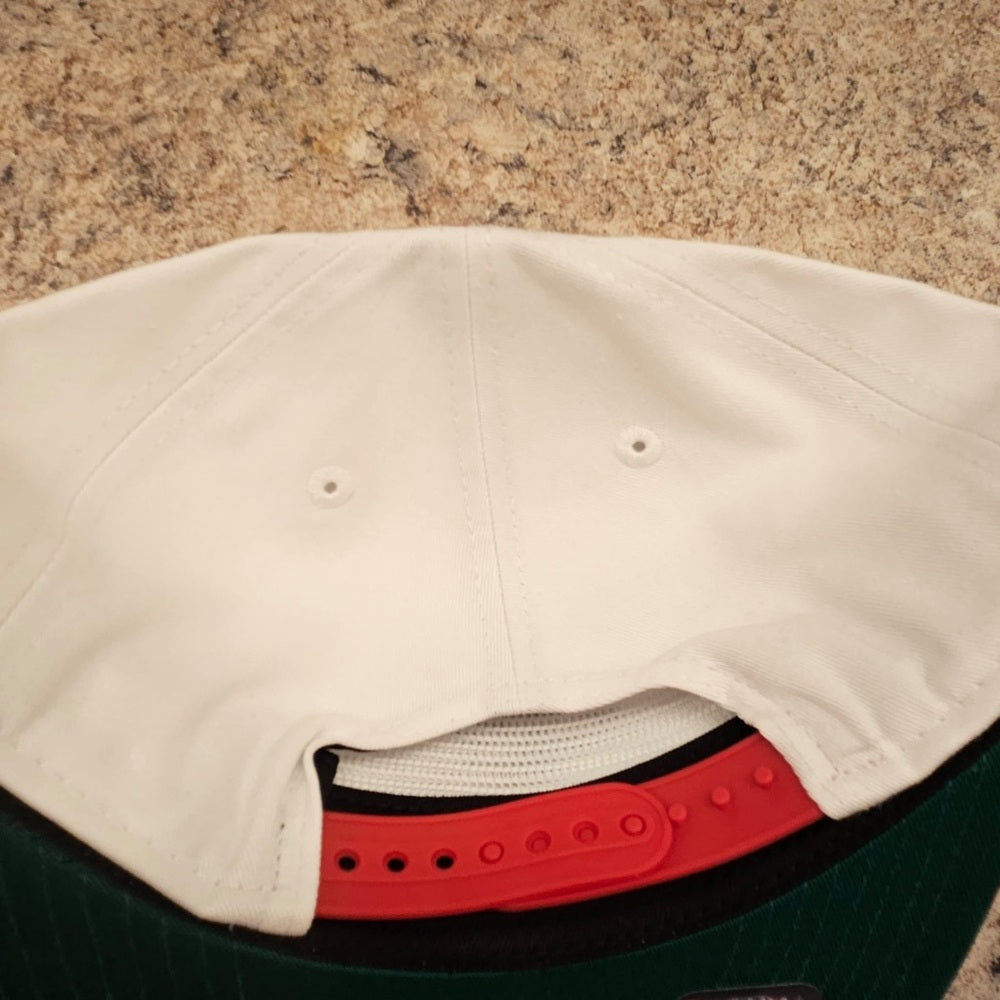 Chicago bulls golfer SnapBack one size fits all