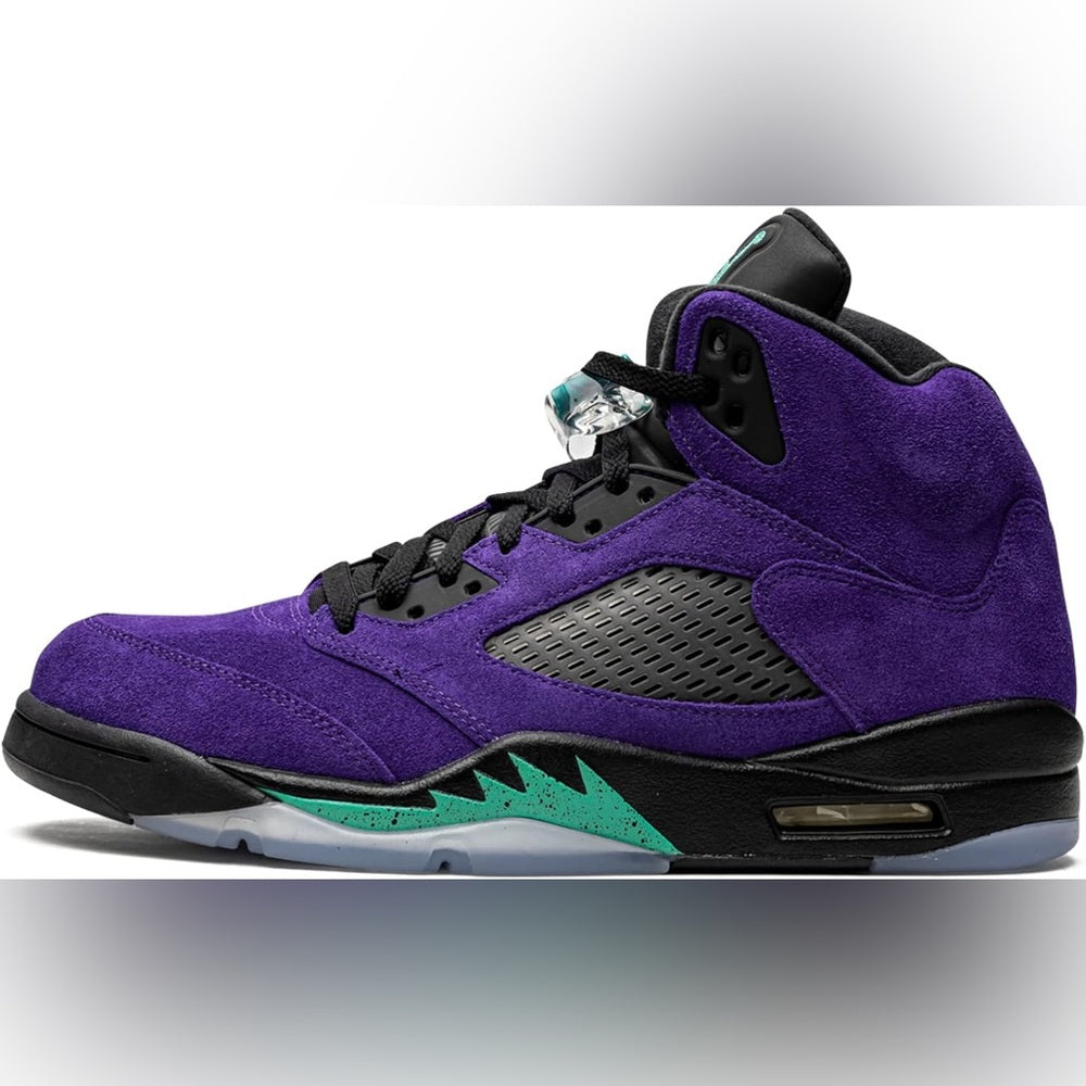 Retro 5s purple & till Sz 11