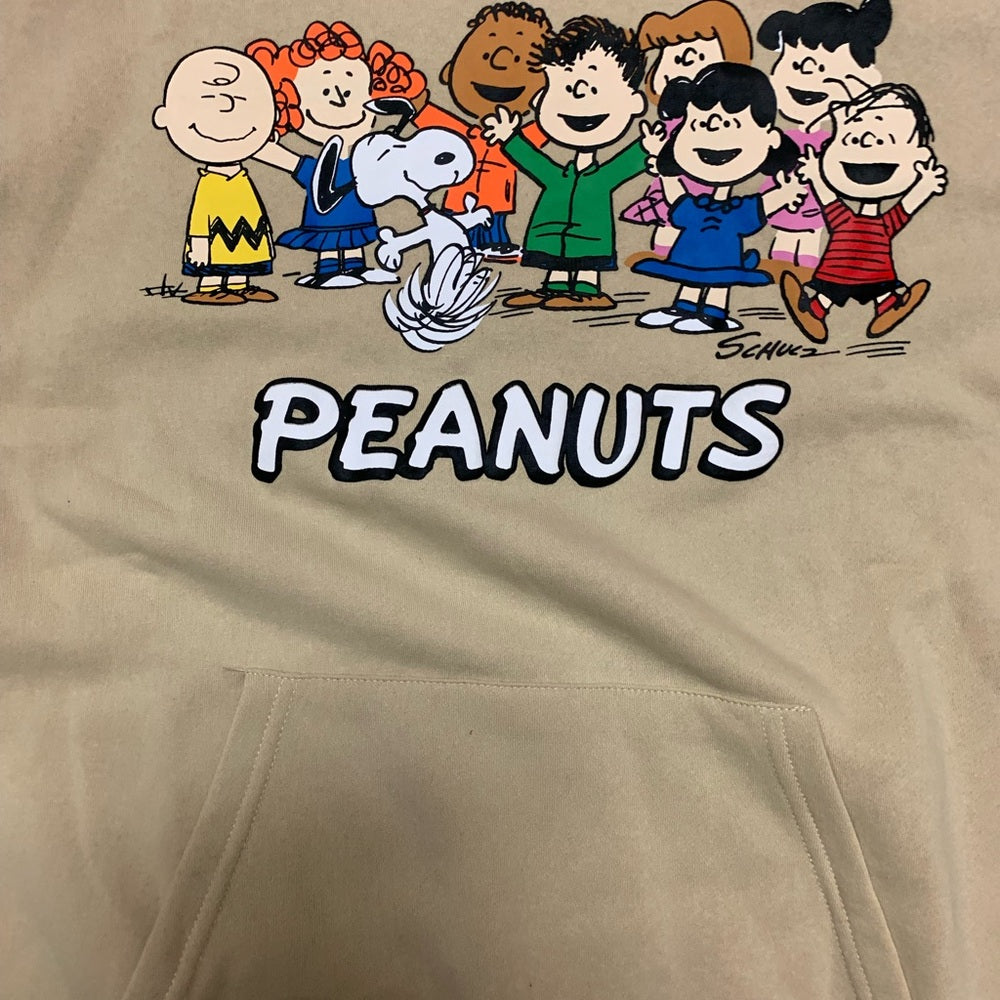 Aéropostale Beige Sweatshirt hoodie various